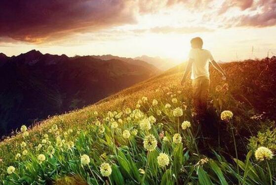 你是我生活的阳光.jpg 你是我生活的阳光.jpg