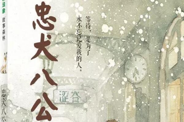 爱的解析——《忠犬八公》 爱的解析——《忠犬八公》