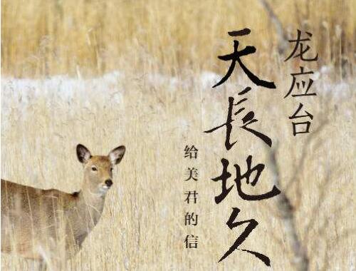 龙应台《天长地久》