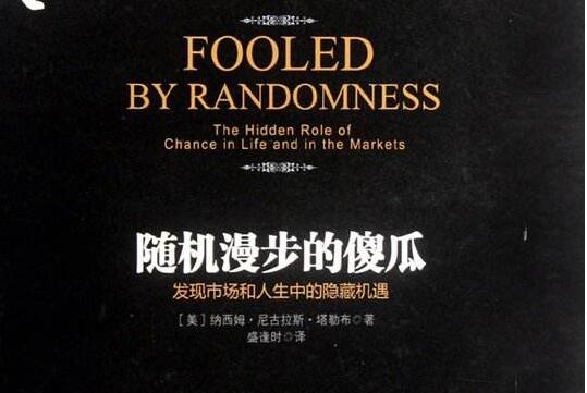 《随机漫步的傻瓜》.jpg 《随机漫步的傻瓜》.jpg