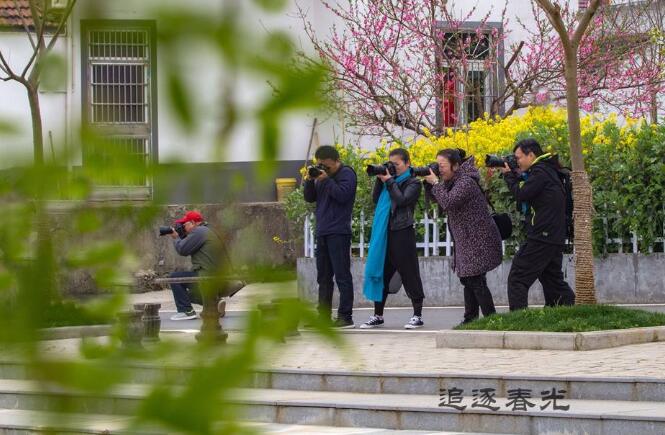 追寻那缕春光.jpg 追寻那缕春光.jpg