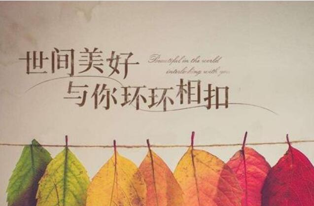 对世间报之以美好.jpg 对世间报之以美好.jpg