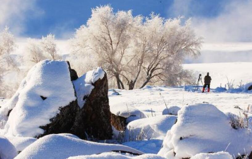 寒冬.jpg 寒冬.jpg