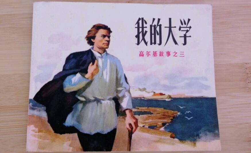 《我的大学》书籍.jpg 《我的大学》书籍.jpg