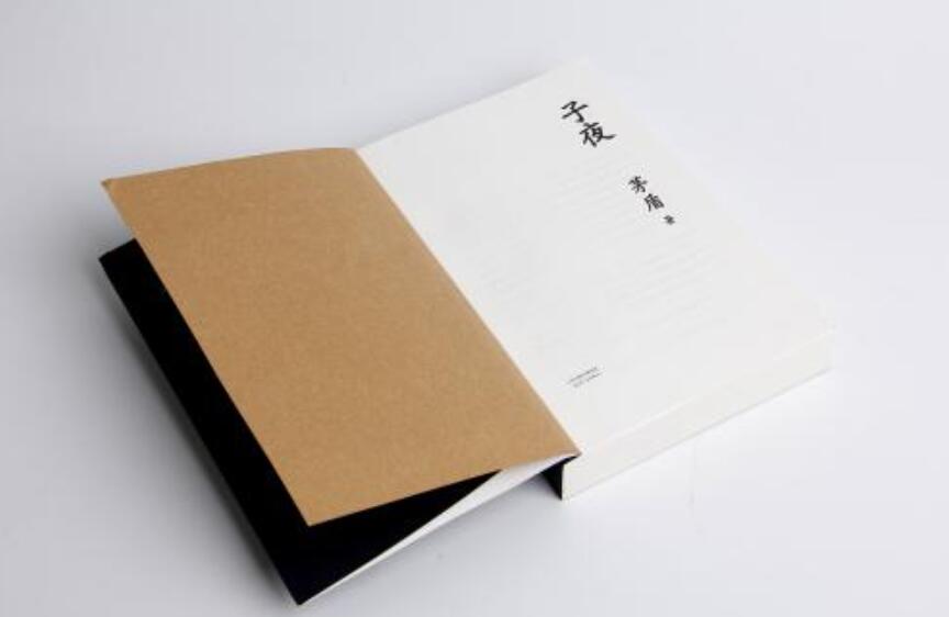 《子夜》书籍.jpg 《子夜》书籍.jpg