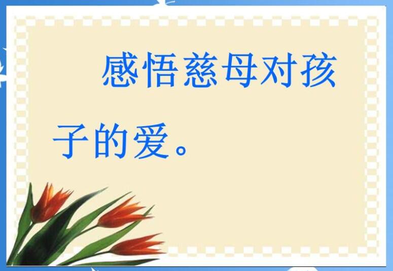 《慈母情怀》书籍.jpg 《慈母情怀》书籍.jpg