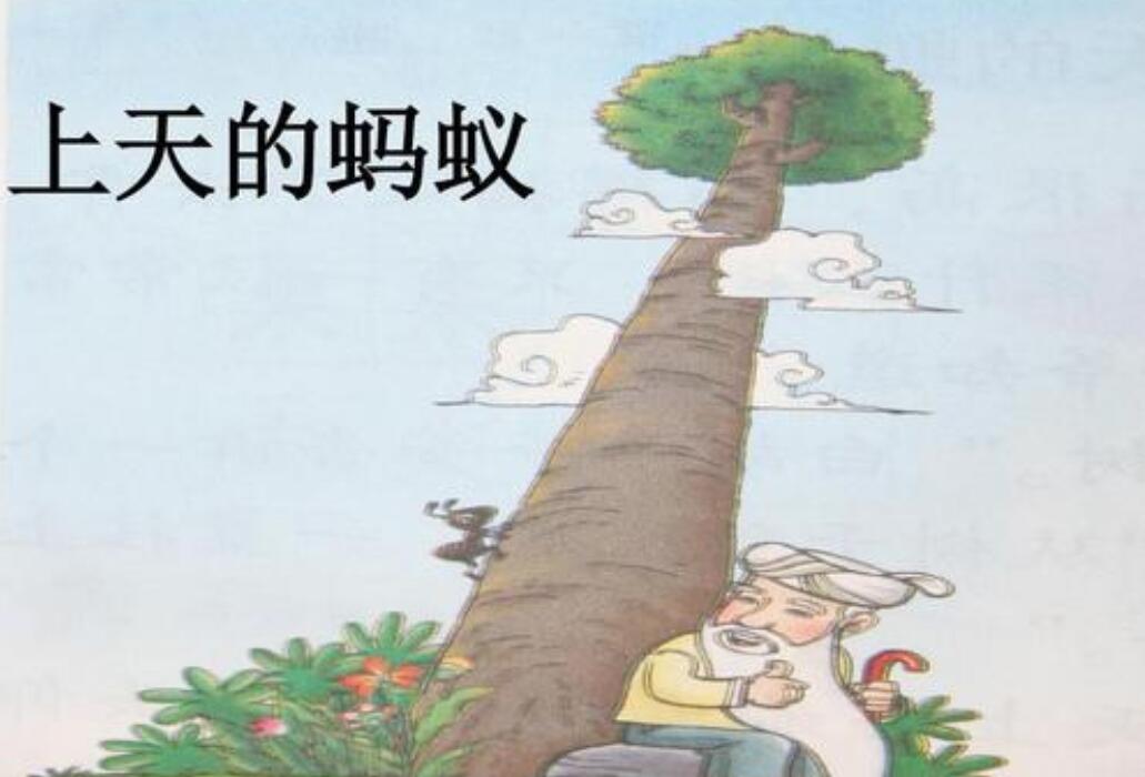 上天的蚂蚁.jpg