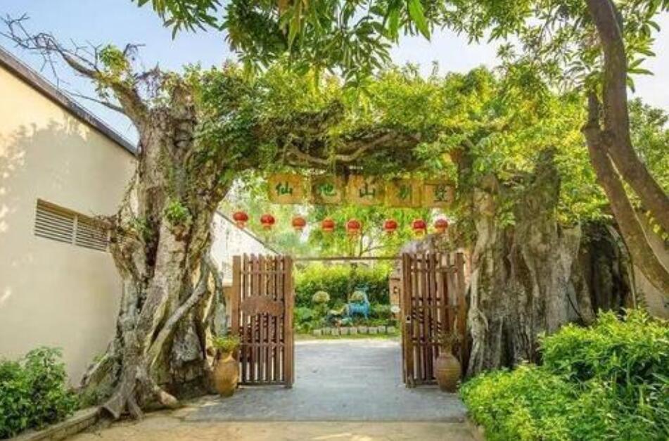 我的乐园小花园.jpg 我的乐园小花园.jpg