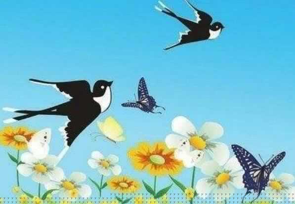 我的心爱之物小燕子.jpg 我的心爱之物小燕子.jpg