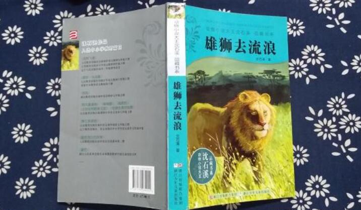 《雄狮去流浪》书籍.jpg 《雄狮去流浪》书籍.jpg