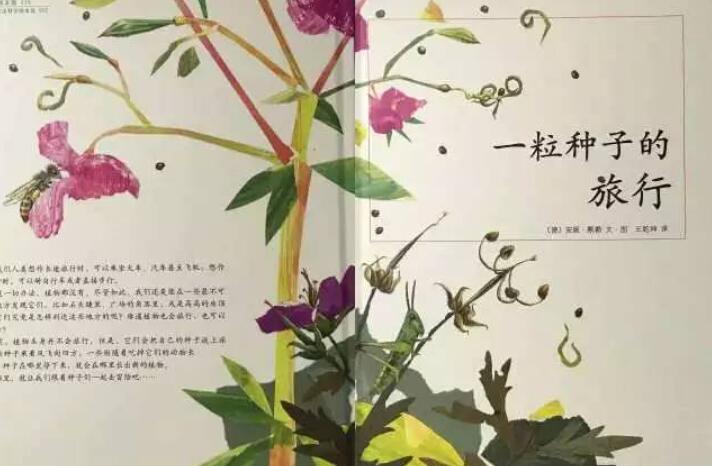 《一粒种子的旅行》书籍.jpg 《一粒种子的旅行》书籍.jpg
