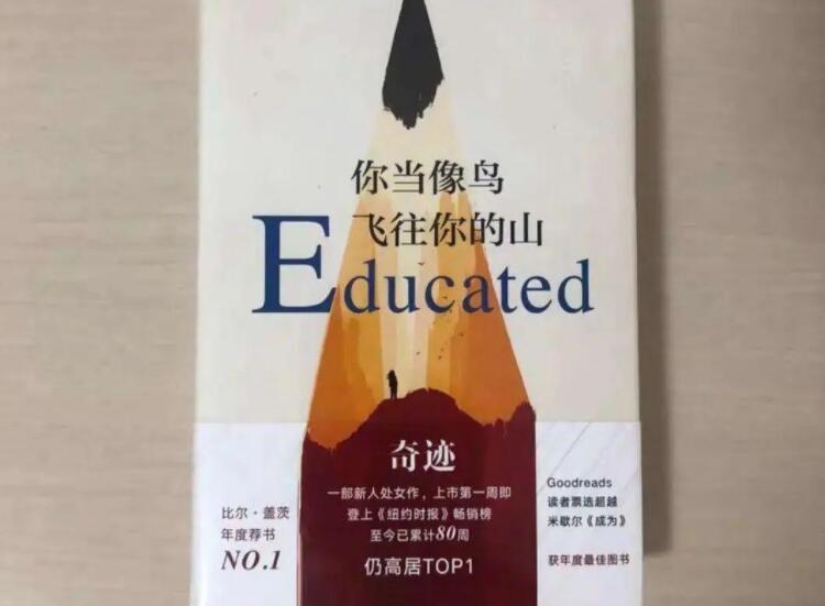 《你当像鸟飞往你的山》书籍.jpg 《你当像鸟飞往你的山》书籍.jpg