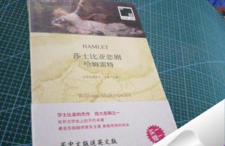 《哈姆雷特》书籍.jpg