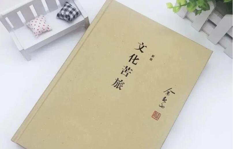 《文化苦旅》书籍.jpg 《文化苦旅》书籍.jpg