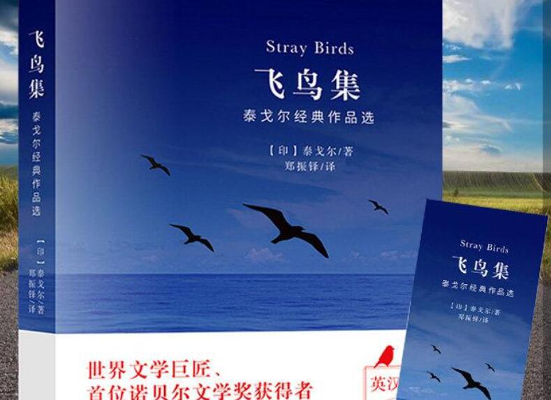 《飞鸟集》书籍.jpg