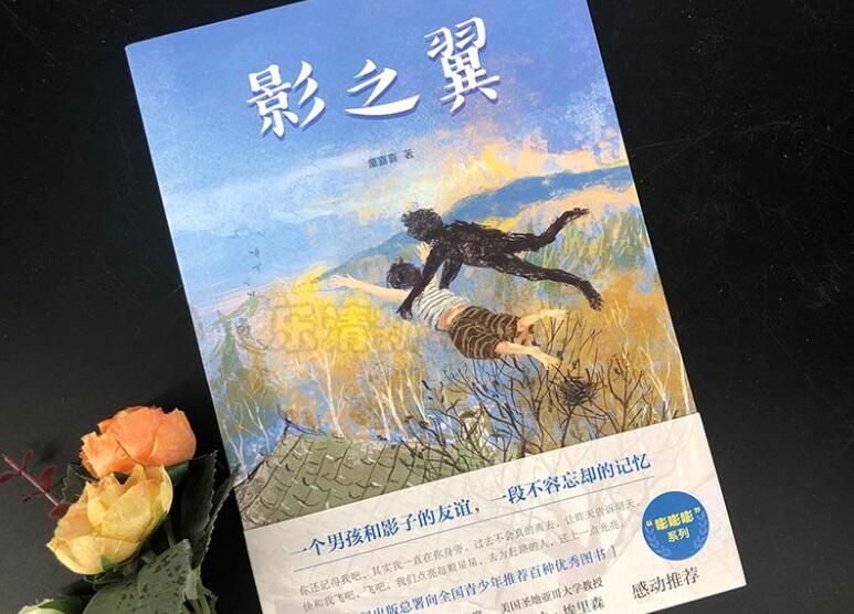 《影之翼》书籍.jpg 《影之翼》书籍.jpg