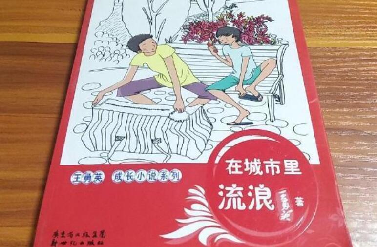 《在城市里流浪》书籍.jpg 《在城市里流浪》书籍.jpg