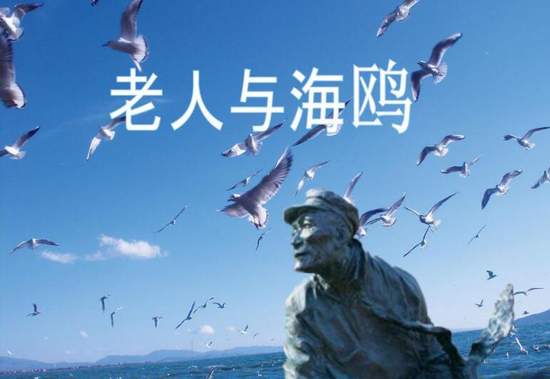 《老人与海鸥》.jpg