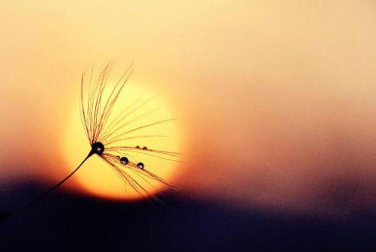 人间事.jpg 人间事.jpg