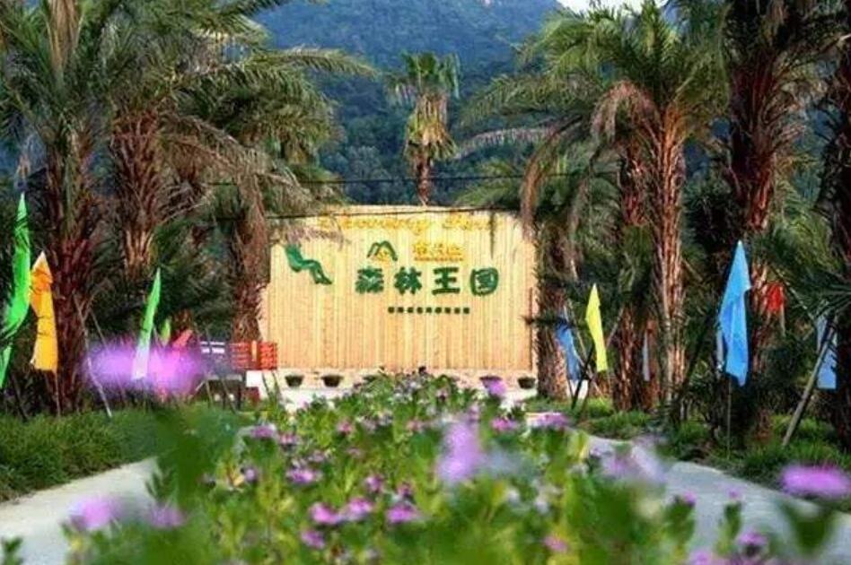 森林王国联欢会.jpg 森林王国联欢会.jpg