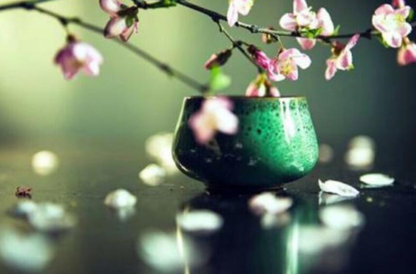 苦趣.jpg 苦趣.jpg