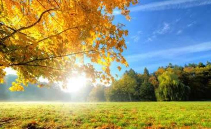 秋天的声音.jpg 秋天的声音.jpg