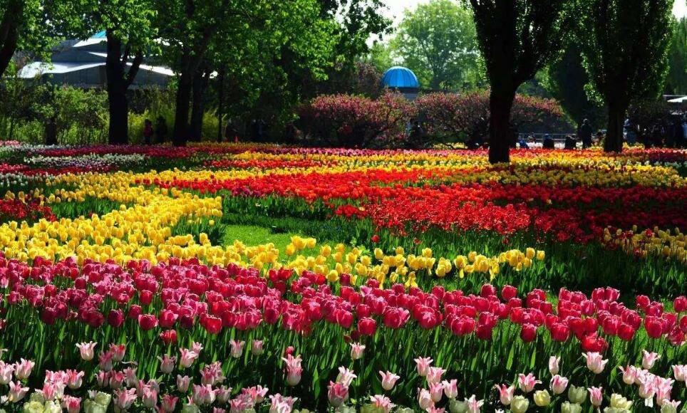 美丽的植物园.jpg 美丽的植物园.jpg