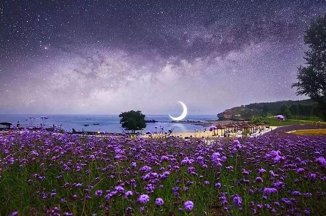 难忘的夜晚.jpg 难忘的夜晚.jpg