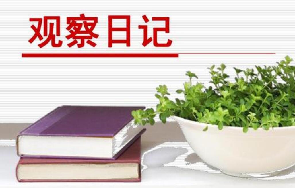 观察日记.jpg