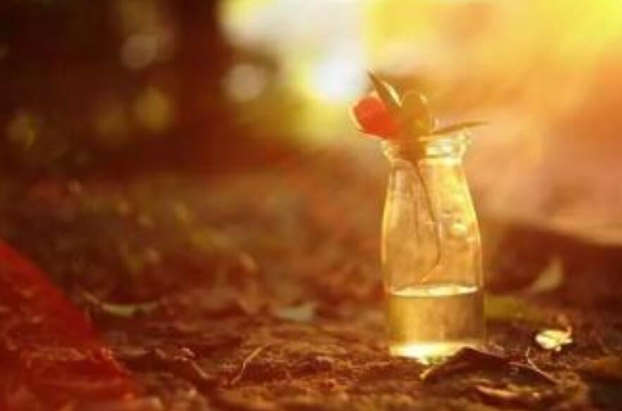 暖心窝的一件事.jpg 暖心窝的一件事.jpg