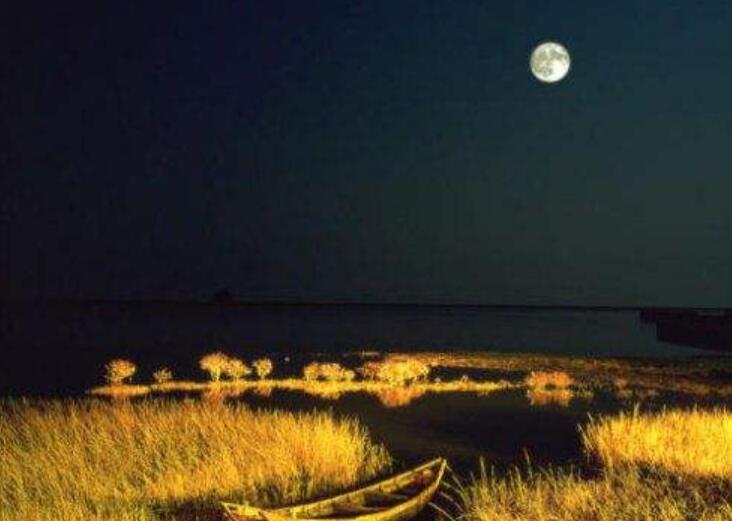 秋夜.jpg 秋夜.jpg