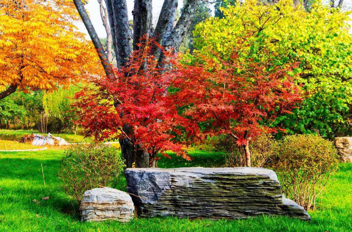 秋天来了.jpg 秋天来了.jpg