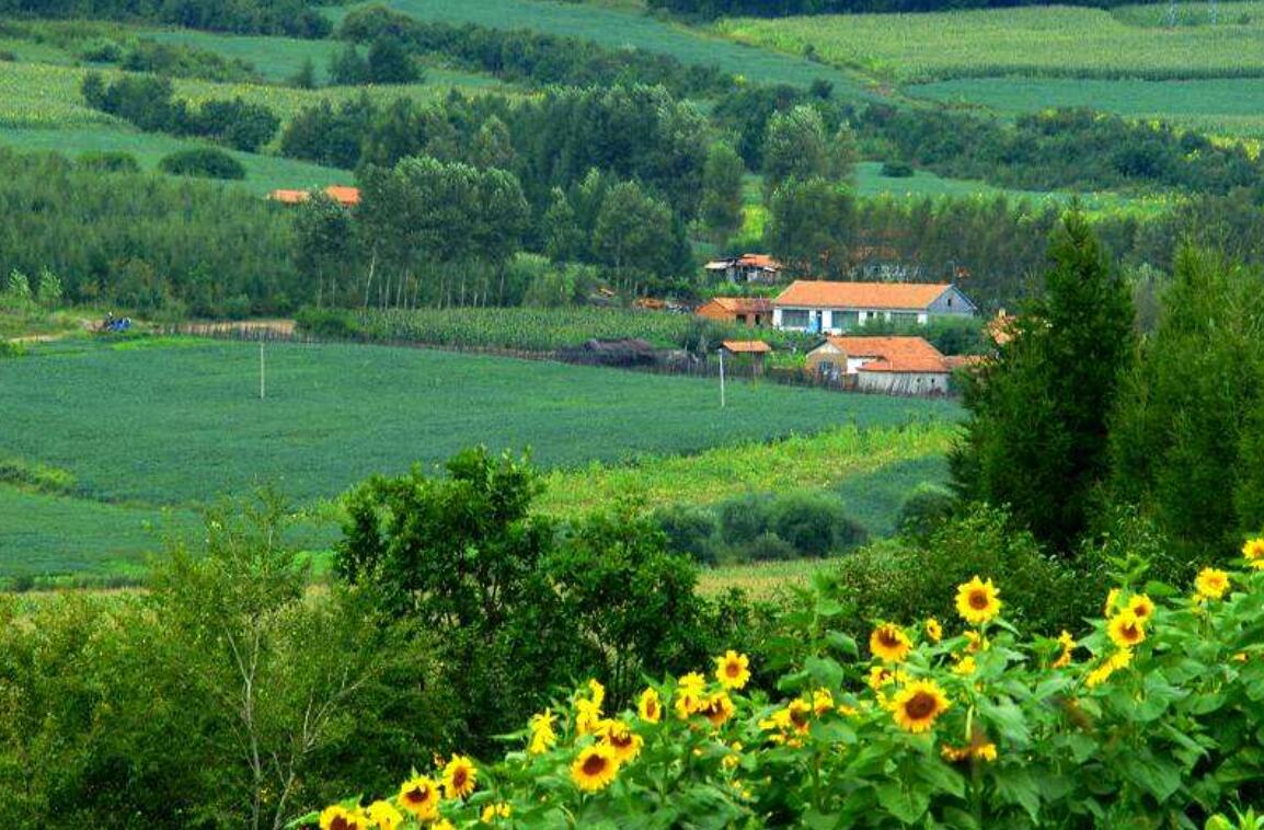 美丽的家乡.jpg 美丽的家乡.jpg