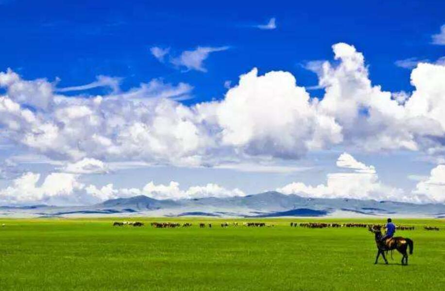 呼伦贝尔大草原.jpg 呼伦贝尔大草原.jpg