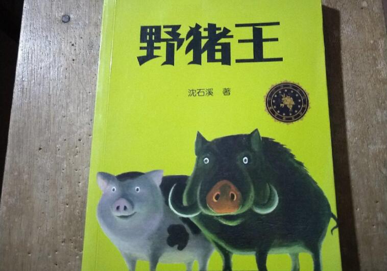 沈石溪《野猪王》.jpg