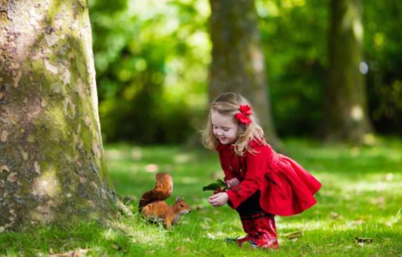 大自然的孩子们.jpg 大自然的孩子们.jpg