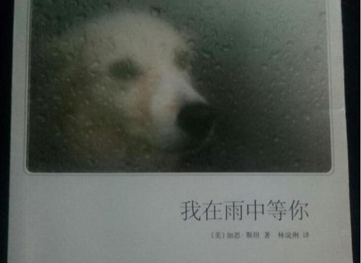 《我在雨中等你》书籍.jpg 《我在雨中等你》书籍.jpg