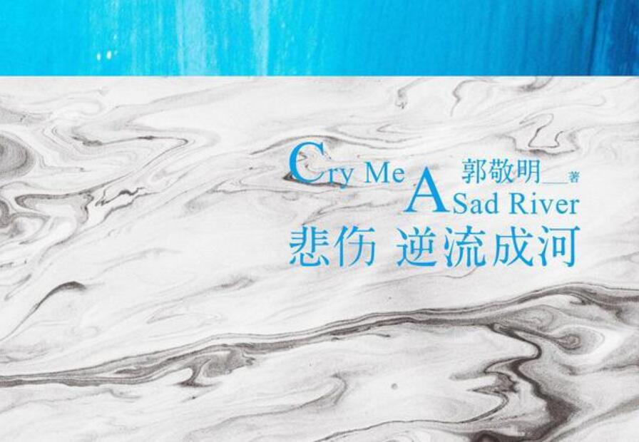 《悲伤逆流成河》书籍.jpg