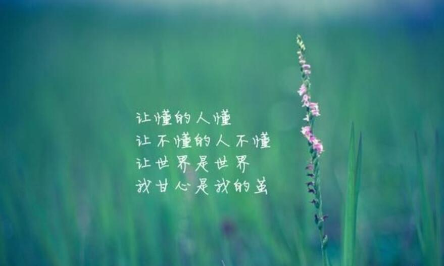 记住该记住的.jpg 记住该记住的.jpg