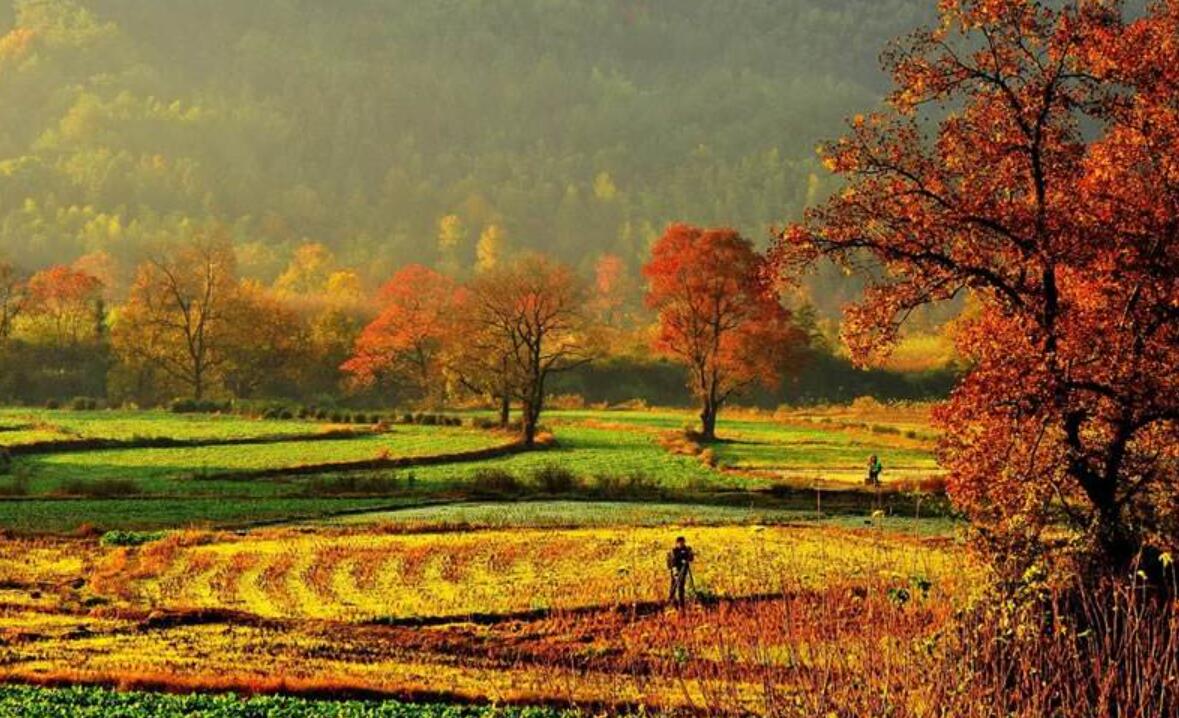 秋色.jpg 秋色.jpg