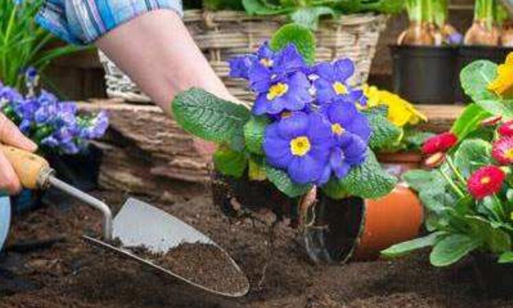 种花让生活更美好.jpg 种花让生活更美好.jpg