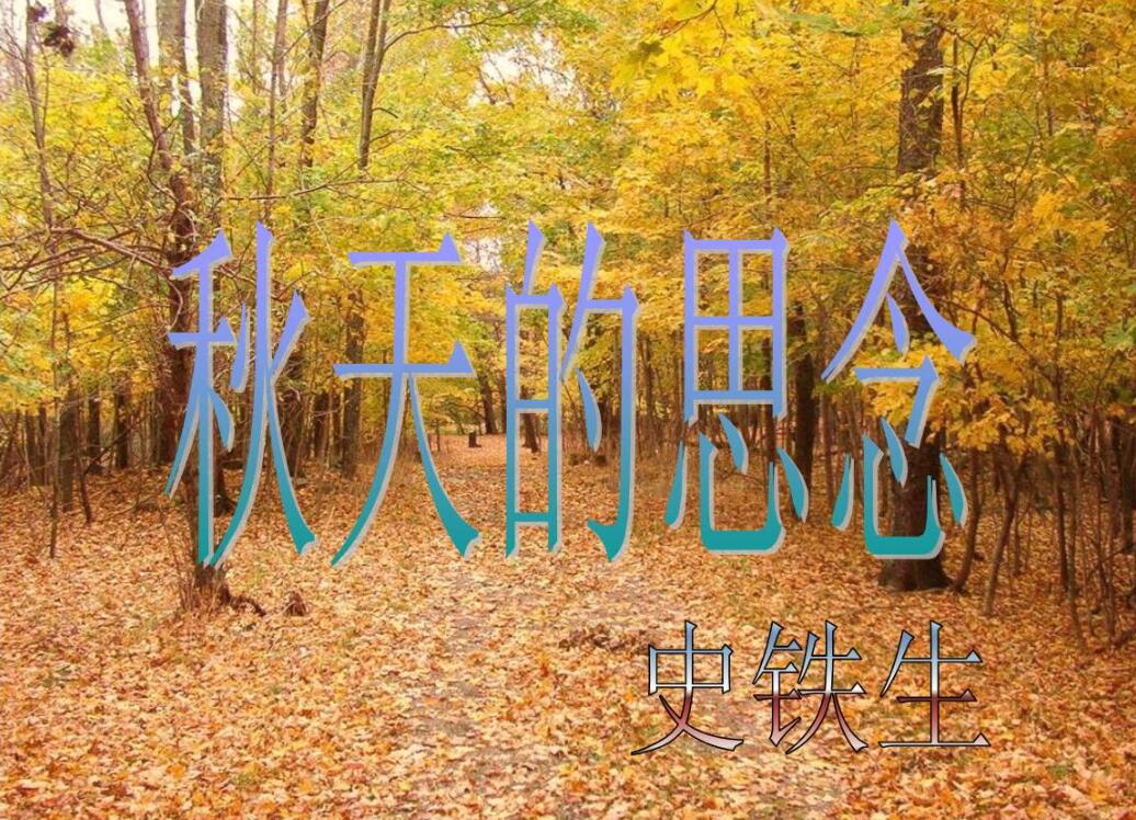 秋天的思念.jpg
