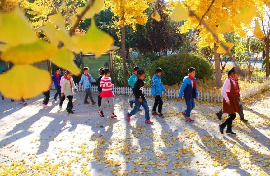 校园之秋.jpg 校园之秋.jpg