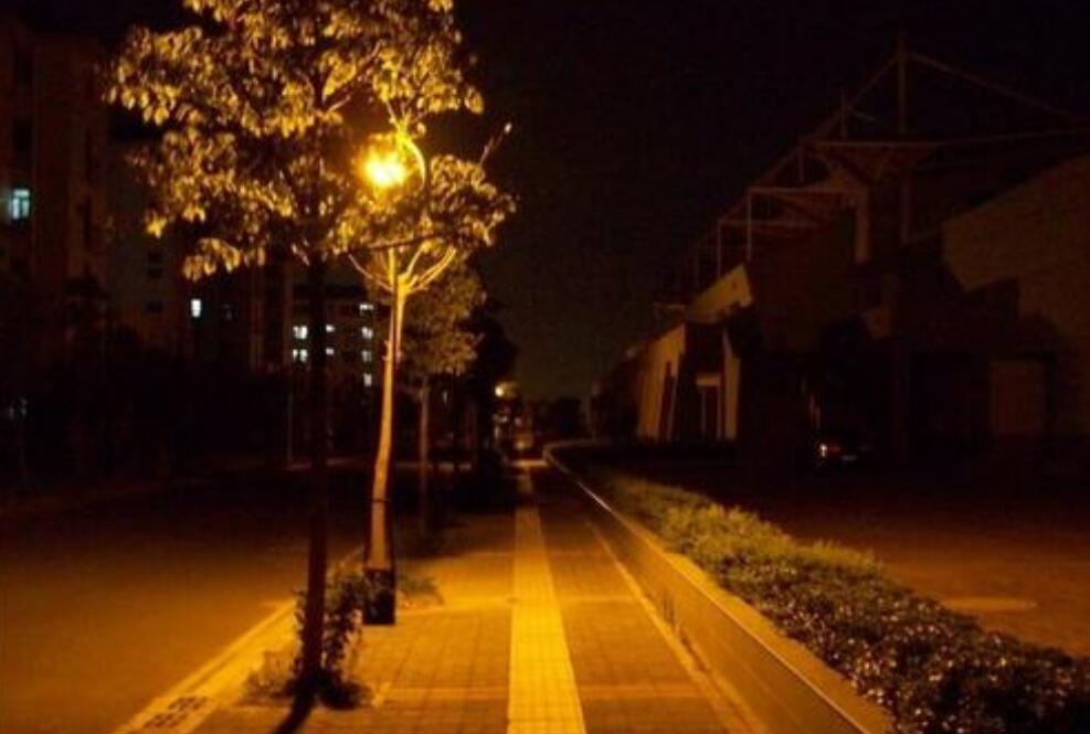 晚归.jpg 晚归.jpg