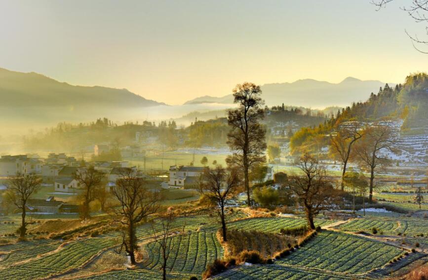 乡村.jpg 乡村.jpg