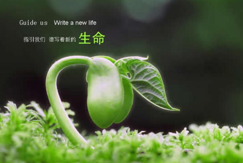 生命.jpg 生命.jpg