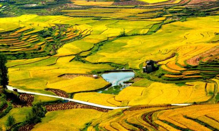 秋天的田野.jpg 秋天的田野.jpg