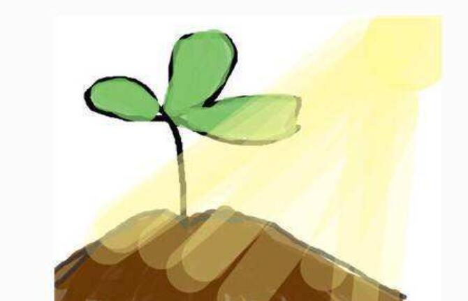 成长.jpg 成长.jpg