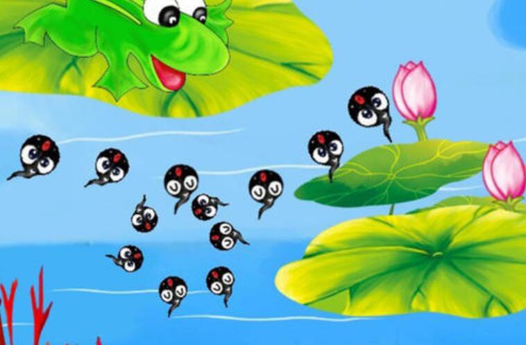 小蝌蚪.jpg 小蝌蚪.jpg