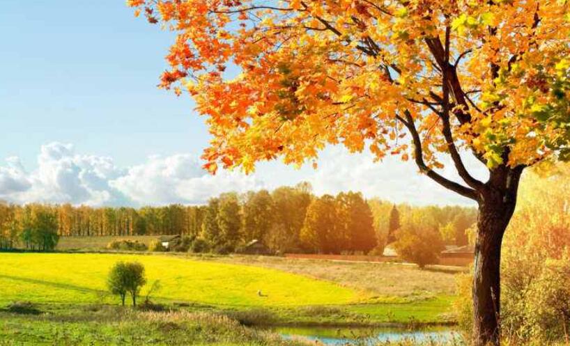 秋天写景.jpg 秋天写景.jpg